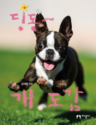 딩동 개도감